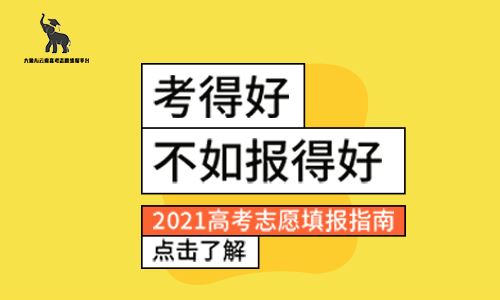 云南高考志愿填报培训哪个好