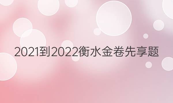 2022衡水新高考调试卷