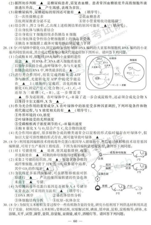 江苏高考生物填空,高中生物填空题库及答案