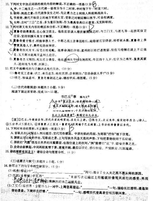 华大新高考联盟2022