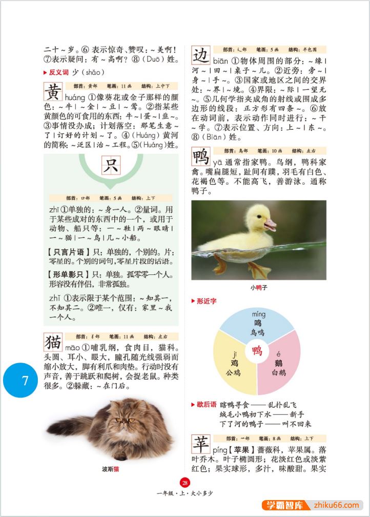 2024新版绘本课堂《字词句手册》统编版语文1～6年级彩色本第三版