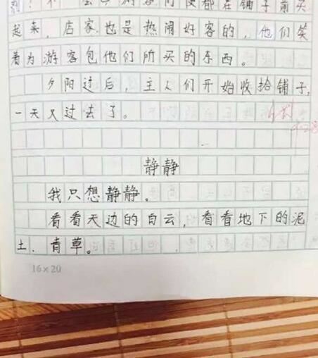 小学作文100字,作文大全100字