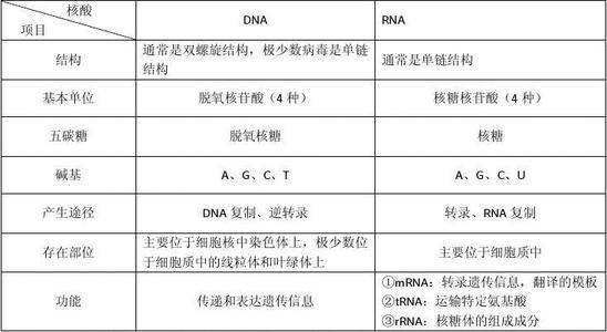 高考常考知识点生物,高考物理50个必考知识点文库