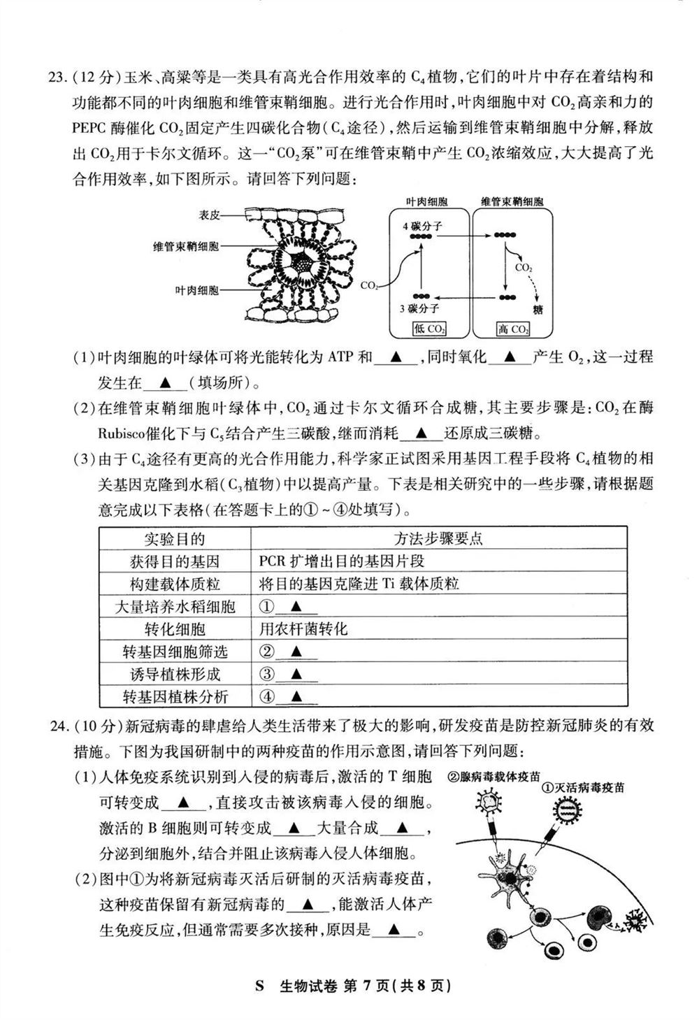 2021届江苏新高考生物