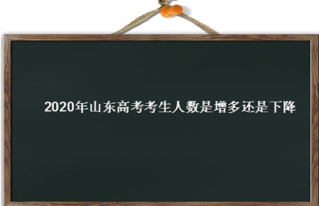 2022山东高考人数估计