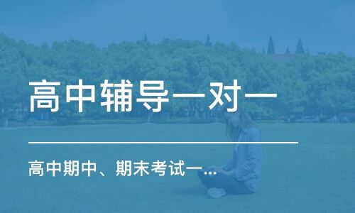 山东淄博高三学生辅导班