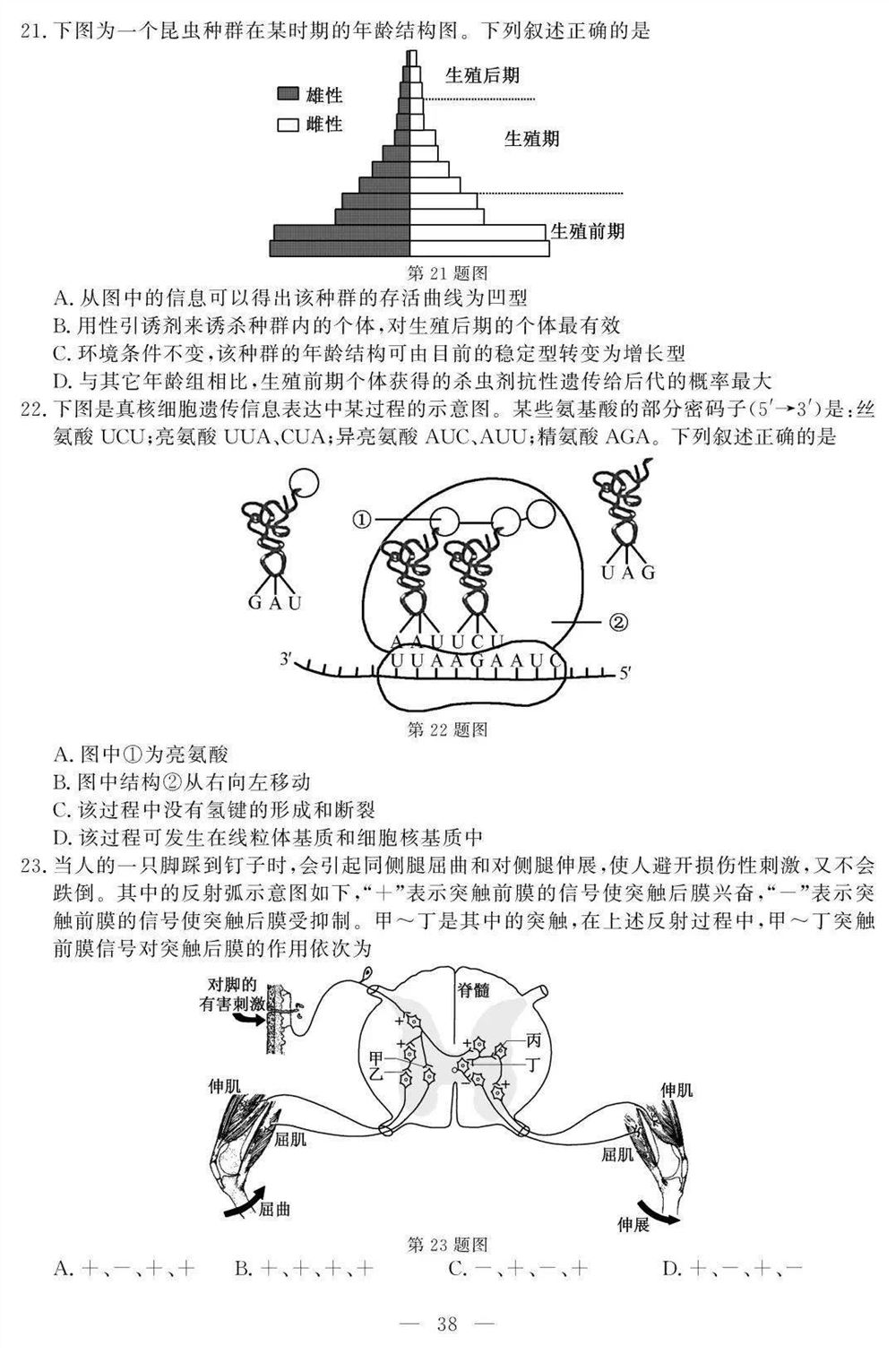 2021新小高考高考生物试卷