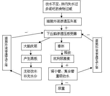 高考生物知识梳理,初二上生物知识点归纳