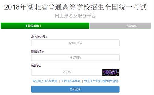 2021湖北高考报名入口