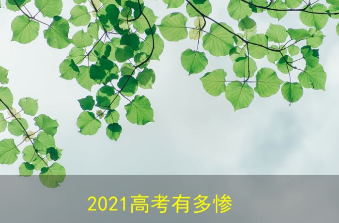 2021高考有多惨云南