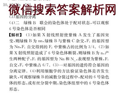 浙江省2022年高考模拟训练卷英语五