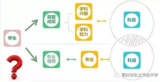 湖北新高考培训总结