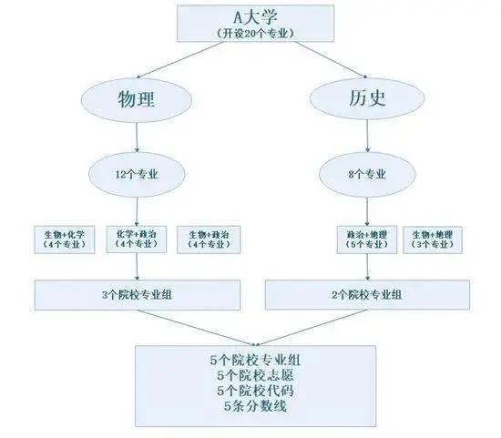 湖北2021新高考选科数据