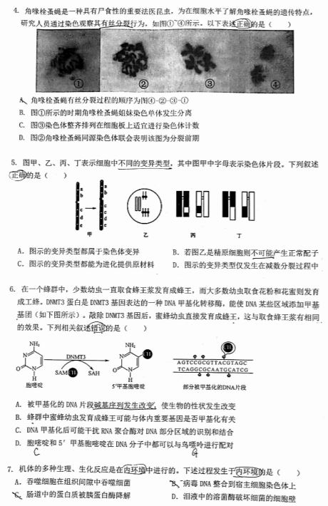 北京门头沟高三生物辅导班