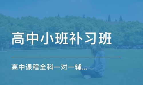 山东淄博高三学生辅导班