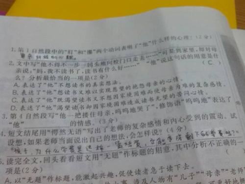 小学阅读理解的主观题,阅读理解主观题是什么