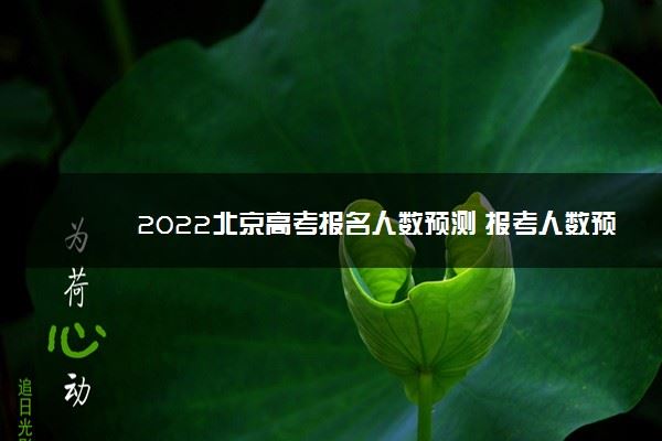 2022年北京朝阳区高考人数